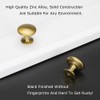LONTAN Pack of 10 Furniture Knobs, Gold Kitchen Knobs, Gold