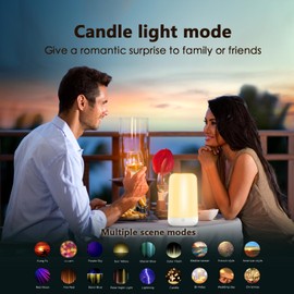 Benedi Night Light Seven Color dimmable Design Touch Control Table lamp Rechargeable Night Light for Kids Night Light with Timer Bright Night Light Travel Night Light Battery Operated Desk lamp