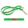 5 Ft Flat Dog Leash with Custom 3/4" Tag (Lime