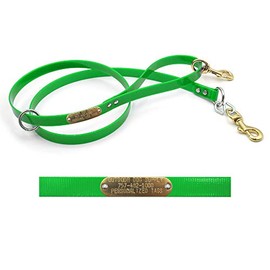 5 Ft Flat Dog Leash with Custom 3/4" Tag (Lime Green)