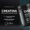 DUMO LABS | Creatina Monohidratada de Alta Pureza en polvo