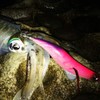 KEYSTONE V0 Lure, Egi Sharp, Basic Color, Red Base, Pink,