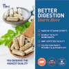 Dr. Tobias Super Digestive Enzymes, Plant-Based, Non-GMO by Dr. Tobias