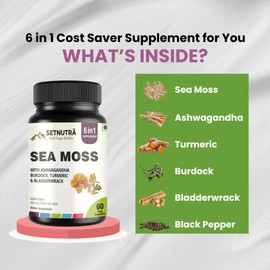 SETNUTRA Well From Within Sea Moss 6 in 1 Super Blend Ashwagandha Burdock Turmeric & Bladderwrack Immunity & Detox Support 60 Veg Capsules Non GMO No Gluten