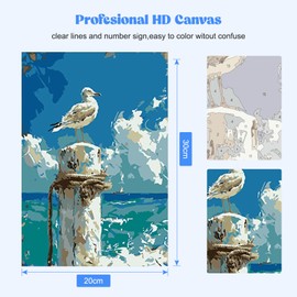 RICUVED Bird Seagull Painting by Number Kits for Adult Kids, DIY Beach Canvas Oil Painting Kit for Kids or Beginner with Paint Brushes Acrylic Pigment Drawing Paintwork with Wooden Frame 20x30cm