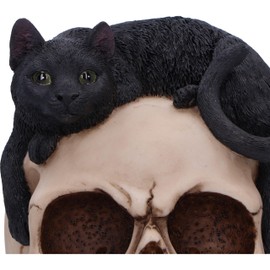 Nemesis Now Forever Friend Cat on Skull 14.5cm, Resin, Black/Bone, Cat Laying on Skull Ornament, Gothic Cat Décor, Cast in the Finest Resin, Expertly Hand-Painted