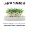 1 lb Broccoli Sprouting Seeds - Perfect for Sprouting &