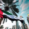 Runesol UAE Flag, 91x152cm, 3ft x 5ft, 4 Grommets, Eyelet