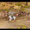 General Accoutrements - Caballos (18 figuras de plástico duro de