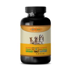 BEST PET SUPPLIES LLC Bladder Support for Dogs - Dogs Urinary Tract Support - Maintain Health Function - CHEWABLE - uva Ursi for Dogs - 90 Treats (1 Bottle)