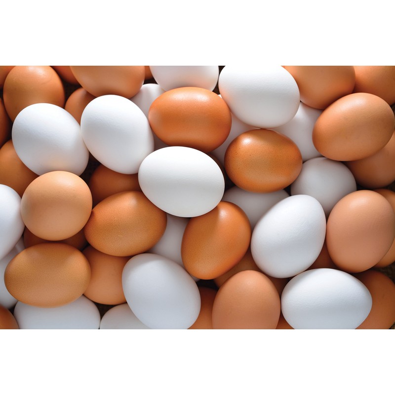 KitchenCraft Egg Separator Tool, Plastic, 14 x 6.5 cm, White