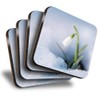 Destination Vinyl ltd Great Coasters (Set of 4) Square -