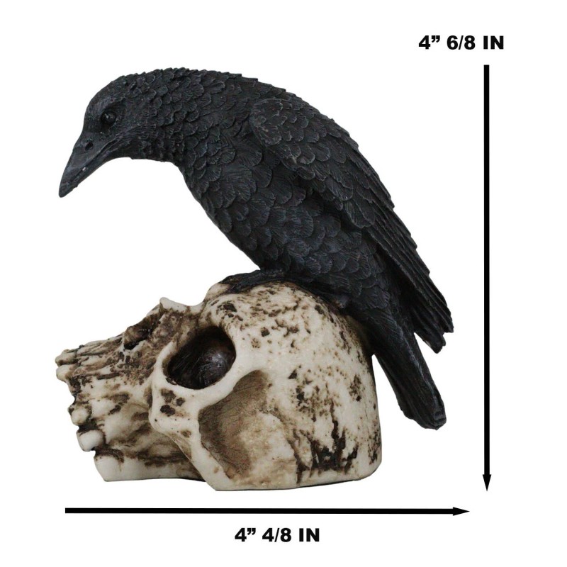 Foreboding Dark Crow Raven On Skull Statue 5"Tall Ossuary Scavenger