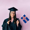 25PCS Iceland Handheld Small Flag, Icelanders Hand held Mini Decor