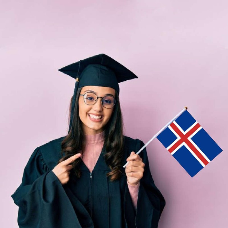25PCS Iceland Handheld Small Flag, Icelanders Hand held Mini Decor