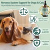Seizure Guardian for Dogs and Cats – Helps Manage Seizure