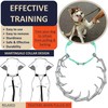 DEYACE Dog Training Collar with Quick-Release Buckle, Adjustable Stainless Steel