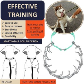DEYACE Dog Training Collar with Quick-Release Buckle, Adjustable Stainless Steel Collar for Small Medium Large Dogs (Teal, XL Neck Girth 16.9"-22.2")