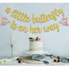 A Little Butterfly Is on Her Way Banner, Butterfly Baby