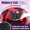 Dried Black Mulberries 8.8oz(250g),245-250 Per Jar,Natural Wild Black Mulberry,Top Grade
