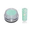 Spring Colour Glitter Powder Set Glitter Nail Design Nail Art
