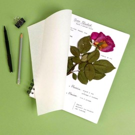 Clairefontaine Herbarium Paint'On 975179C Spiral Bound DIN A4 180 g 32 Sheets White