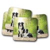 4 Set - Border Collie Pair Coaster - Dog Sheep