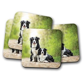 4 Set - Border Collie Pair Coaster - Dog Sheep Farmer Cute Puppy Fun #8626