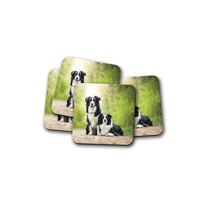 4 Set - Border Collie Pair Coaster - Dog Sheep