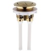 Taps2Traps® Brushed Brass Universal Toilet Dual Flush Button Fit 38mm