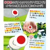 Golf Marker, Japanese Flag, Hinomaru, Magnetic, Cheering Goods, For Hats,
