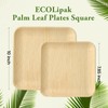 ECOLipak 48 Pack Compostable Palm Leaf Plate Like Bamboo Plate,