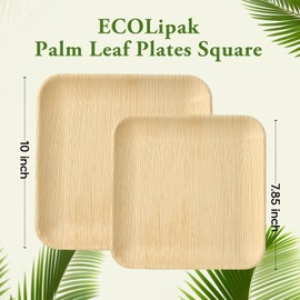 ECOLipak 48 Pack Compostable Palm Leaf Plate Like Bamboo Plate, 10 Inch and 7.85 Inch Disposable Biodegradable Plates Suitable for Party, Dinner