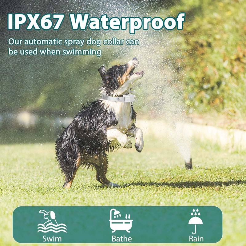 Citronella Dog Bark Collar [NO Spray Refill] Spray Dog Training