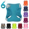 PWOD Dog Harness with Leash Set, No-Pull Step-in Reflective Pet