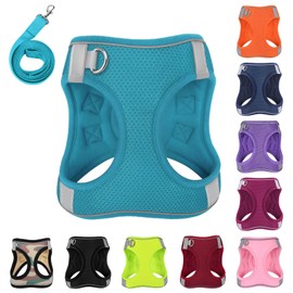 PWOD Dog Harness with Leash Set, No-Pull Step-in Reflective Pet Harness with 1 Leash Clips, Adjustable Soft Padded Easy Walk Dog Vest for Small Medium Large Dogs, Cats(Teal, Large)