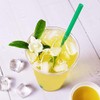 TEA ZONE muestra de té té verde jazmín premium