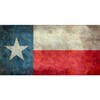 CafePress Texas State Flag Vintage Re Aluminum License Plate, Front