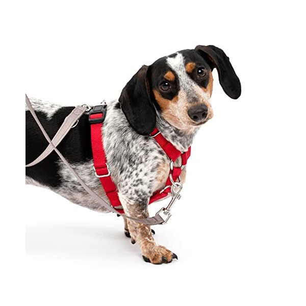 PetSafe Sure-Fit Dog Harness - Training & Behavior Aid - Tactical Design Prevents Pressure on Throat - 2 Quick-Snap Buckles Simplify Slipping On & Off - 5 Adjustment Points - Small, Red