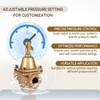 Replacement for S1156F Brass & Tubular Water Pressure Regulator 1156F