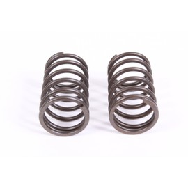 Honda 2 Pack Genuine 14751-ZE1-000 Valve Spring OEM