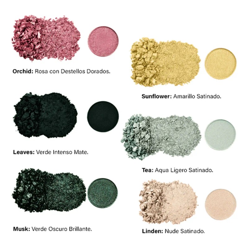 Paleta De Sombras Estuche Jafra Acabados Neon, Mate Nacarado