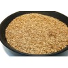 Kentucky 31 K31 Tall Fescue Grass Seed by Eretz -