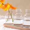 Magic Season Decorative Glass Bottles with Cork Stoppers (5 fl