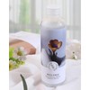 Pretty Valley Home Reed Diffuser Refill (Resilence)