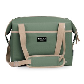 Igloo Green ECOCOOL Switch 24