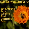 OrganicMatters Natural Weed Killer Spray, No Glyphosate, Results in Less