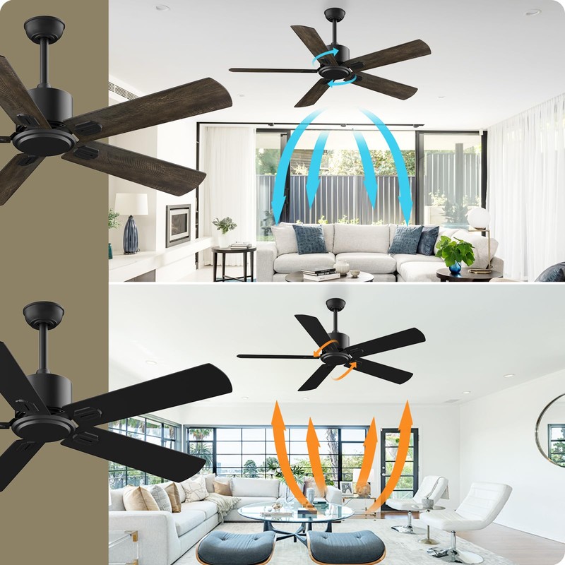 Biukis Ceiling Fan with Remote: 52 Inch Outdoor Ceiling fans