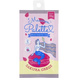 ebs Macaron Palette Change Hair Color SG 30G