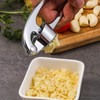 Garlic Press Garlic Crusher, Crush Garlic & Ginger with Ease